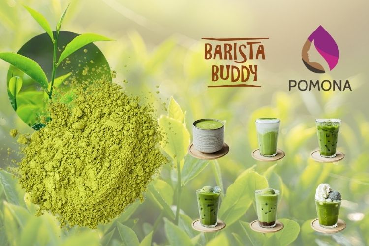 5 bí mật nhỏ của bột matcha pha chế